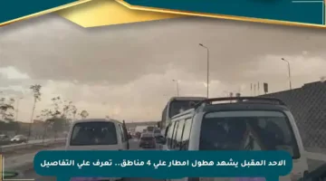 الأحد المقبل يشهد هطول أمطار على 4 مناطق.. تعرف على التفاصيل